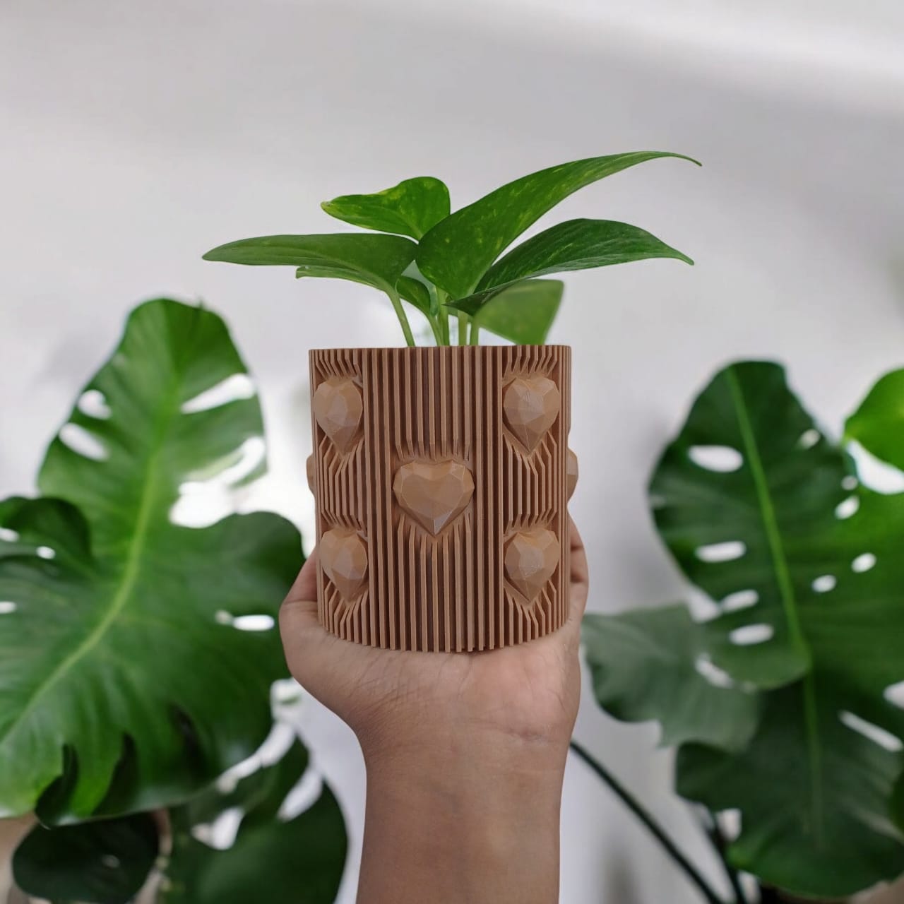 Heart Line Planter & Vase